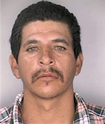 Castellano Julian - Hillsborough County, FL 