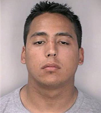 Georgaros Angelo - Hillsborough County, FL 