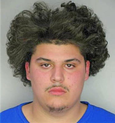 Harman Christopher - Hillsborough County, FL 