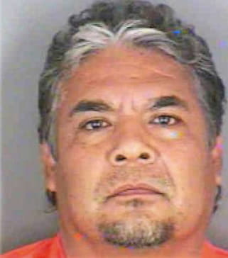 Diaz Noe - Collier County, FL 
