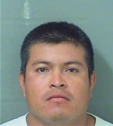 Tevalandeleon Boris - PalmBeach County, FL 
