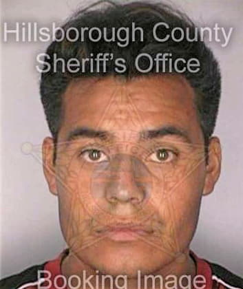 Godinezmartinez Jose - Hillsborough County, FL 