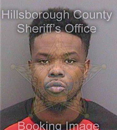Stewart Wayne - Hillsborough County, FL 