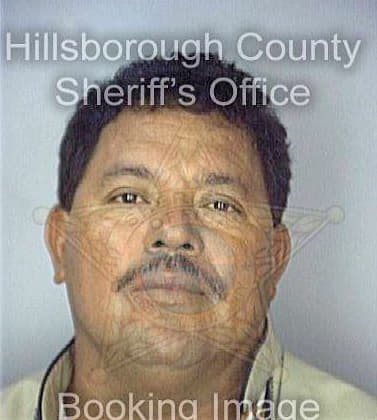 Rojas David - Hillsborough County, FL 