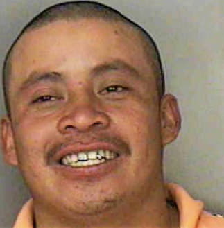Hernandez Elfidio - Polk County, FL 