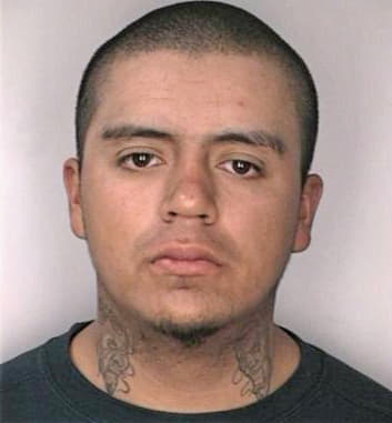 Mendoza Francisco - Hillsborough County, FL 