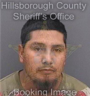 Ortizmartinez Juan - Hillsborough County, FL 