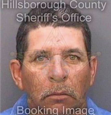 Castellano Julian - Hillsborough County, FL 