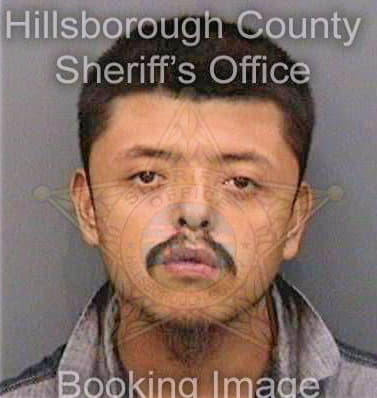 Salgadoramirez Mauricio - Hillsborough County, FL 