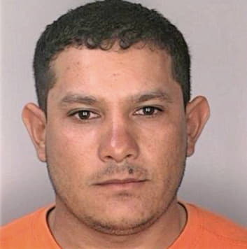 Gallardoramirez Rafael - Hillsborough County, FL 