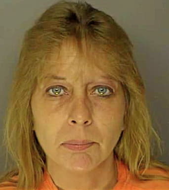 Lewis Cheri - Horry County, SC 