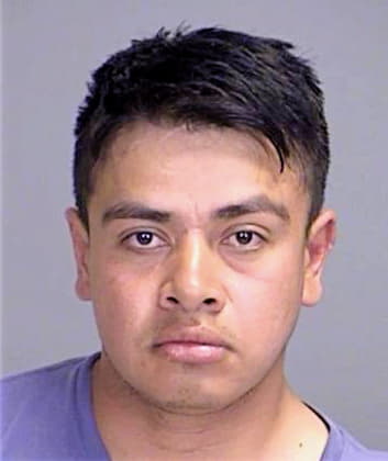 Molina Edwin - Brazos County, TX 