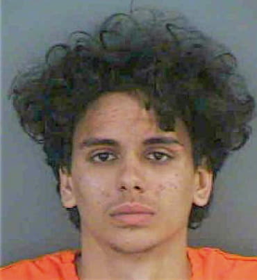 Rodriguez Javier - Collier County, FL 