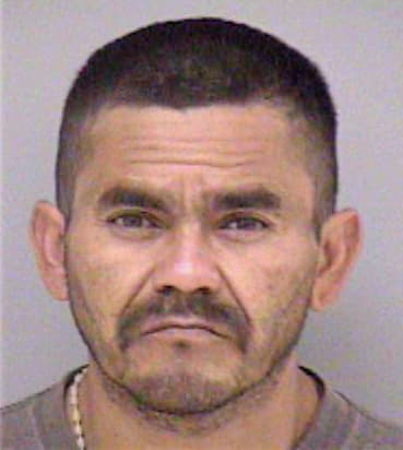 Torres Joseluis - Madera County, CA 