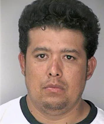 Fernandomartinez Mario - Hillsborough County, FL 