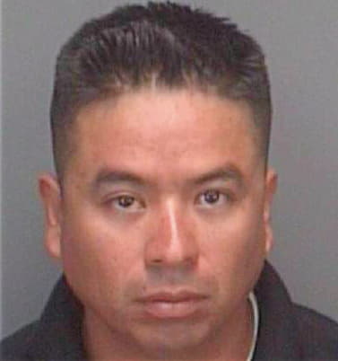 Hernandez Mario - Pinellas County, FL 