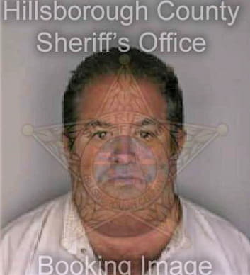 Hernandez Orlando - Hillsborough County, FL 