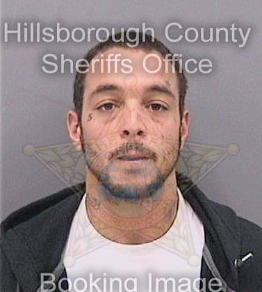 Mitchell Daniel - Hillsborough County, FL 