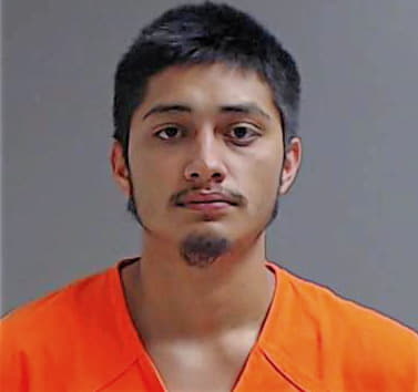 Hernandez Hernan - Hidalgo County, TX 