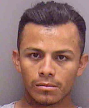 Venancio-Bernabe Abad - Lee County, FL 