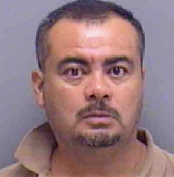 Lopez Luna - Lee County, FL 