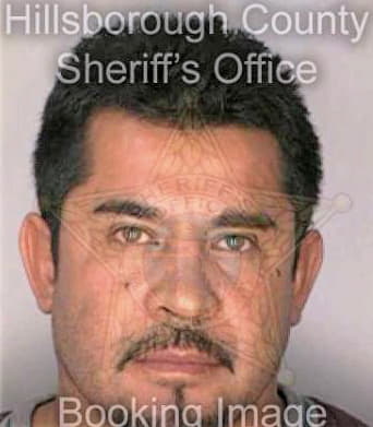 Diaz Miguel - Hillsborough County, FL 
