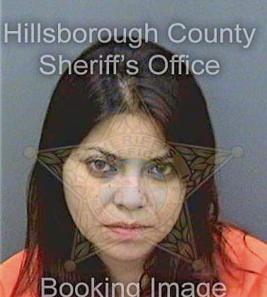 Larralde Nicole - Hillsborough County, FL 