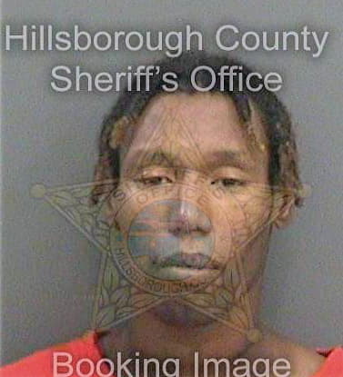 Handy Robert - Hillsborough County, FL 