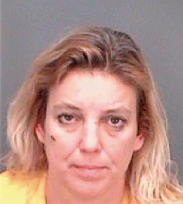 Vileo Susan - Pinellas County, FL 