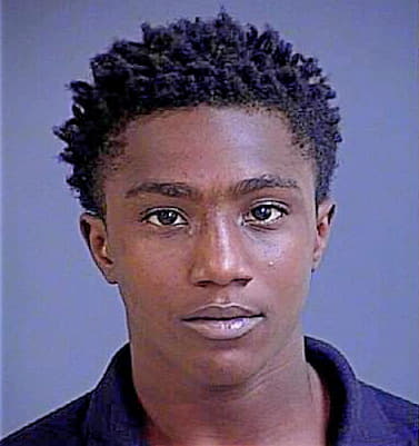 Bolger Terrance - Charleston County, SC 