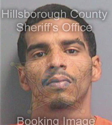 Delossantos Tomas - Hillsborough County, FL 
