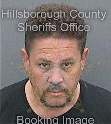 Delaespriellavaldes Luis - Hillsborough County, FL 