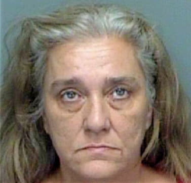 Kramer Georgette - Pinellas County, FL 