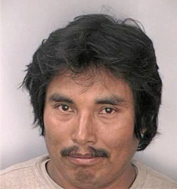 Perez Herman - Hillsborough County, FL 