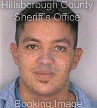 Hayden Jason - Hillsborough County, FL 