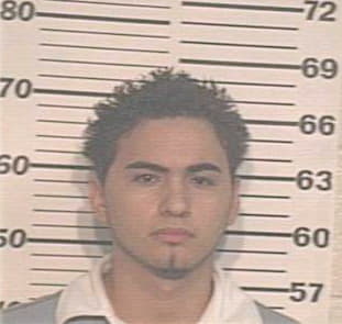 Vega Raul - Hidalgo County, TX 