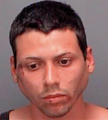 Rodriguezperez Ricardo - Pinellas County, FL 