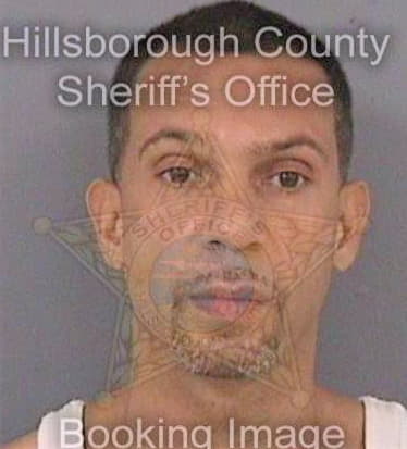 Rivera Abel - Hillsborough County, FL 
