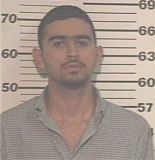 Pena Adelson - Hidalgo County, TX 