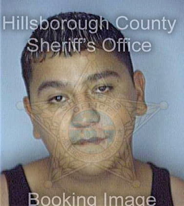 Lara David - Hillsborough County, FL 