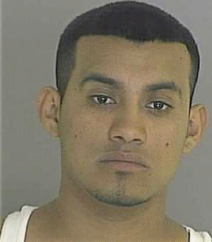 Meza Reynaldo - Bastrop County, TX 