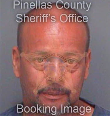 Vargas Carlos - Pinellas County, FL 