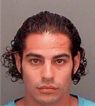 Constantinou Costas - Pinellas County, FL 