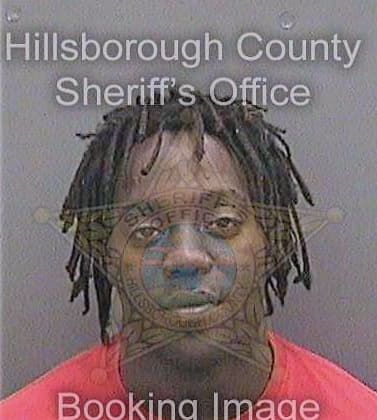 Mcgriff Fabris - Hillsborough County, FL 