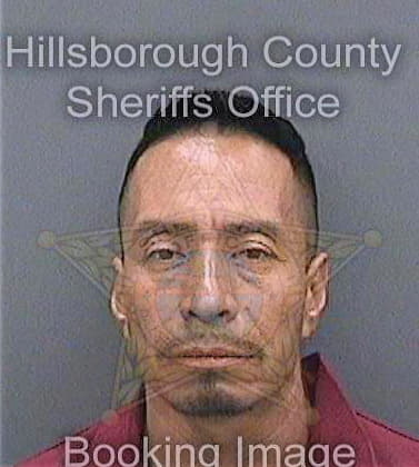 Solorsano Luis - Hillsborough County, FL 