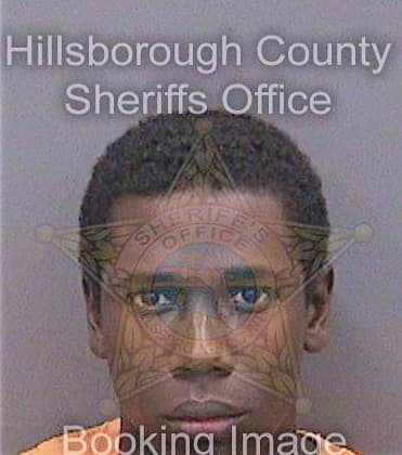 Henrycarnegie Xavier - Hillsborough County, FL 