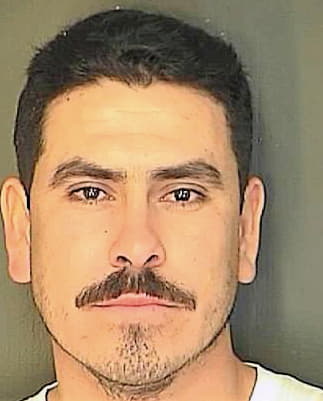 Espinoza-Perez Alejandro - Charleston County, SC 