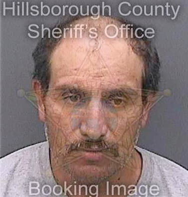 Comachomartinez Artemio - Hillsborough County, FL 