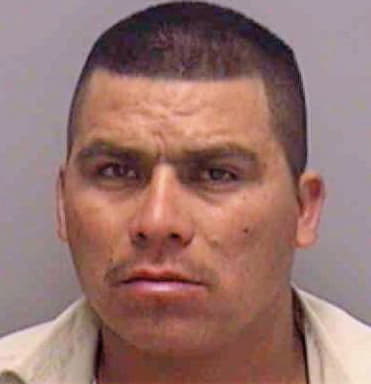 Santos-Herrera Ever - Lee County, FL 