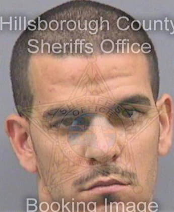 Broche Jesus - Hillsborough County, FL 